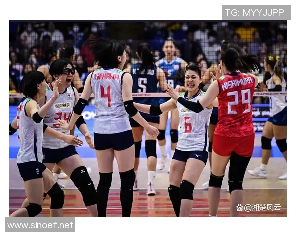 成都排球队战术解析与对比深度剖析球队表现与战略布局