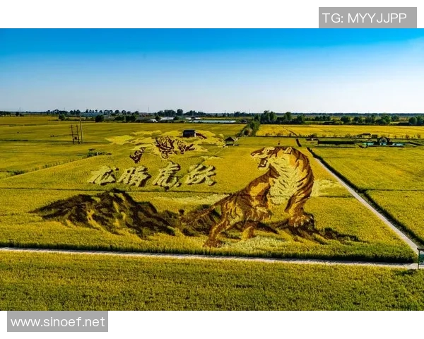 杭州攀岩队荣登全国攀岩团队协作排行榜第三名展现团队精神与实力