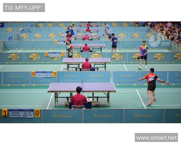 深圳乒乓球队实力揭秘:乒乓球巨献背后的故事与成就