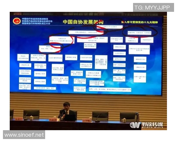 重庆网球队如何通过比赛经验变革提升竞技水平与团队协作能力